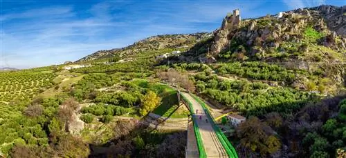 Масло Гринуэй.