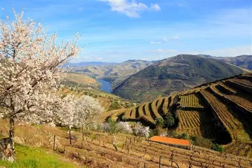 Маршрут из Фавайоса в Пиньян.