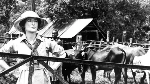 Книга или фильм?