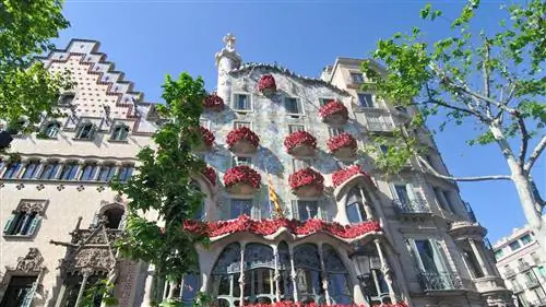 Sant Jordi, День книги и День святого Валентина
