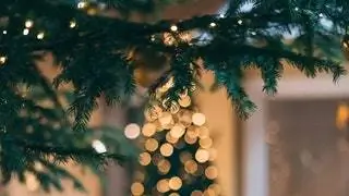 14 самых роскошных новогодних елок