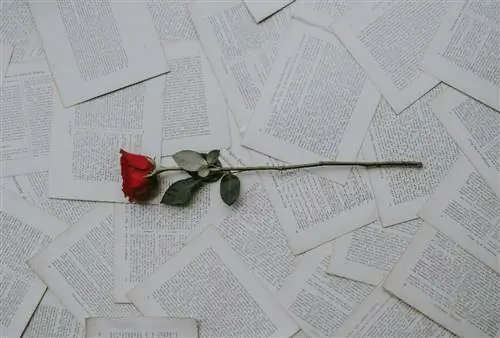 Мы искренне желаем, чтобы «Фестиваль книги и розы Сан-Жорди» был объявлен нематериальным наследием человечества. Мы искренне желаем, чтобы «Фестиваль книги и розы Сан-Жорди» был объявлен нематериальным наследием человечества.
