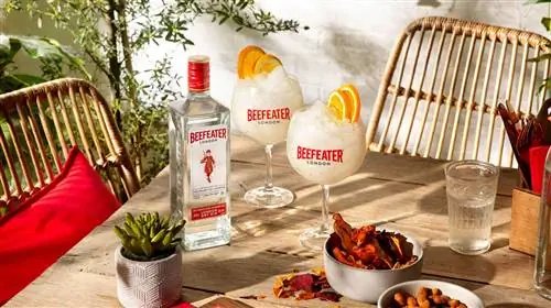 Тонизирующий коктейль Frozen Beefeater