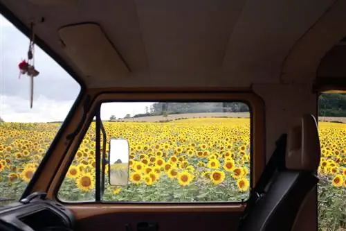 Технологии внутри, природа снаружи.