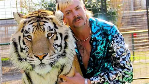 Tiger King: хлеб, цирк и буги-вуги
