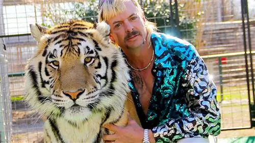 Хлебный цирк Tiger King и буги-вуги