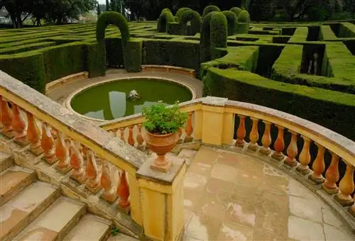 лабиринт дхорта