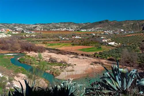 Панорама Хауи