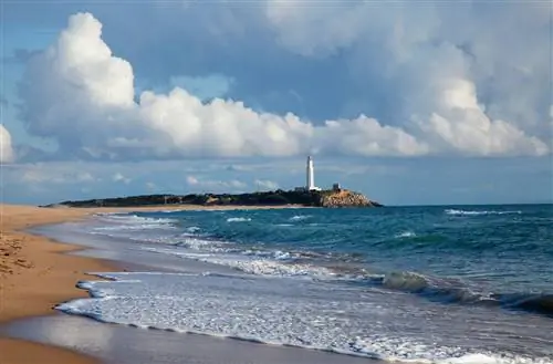 Заора