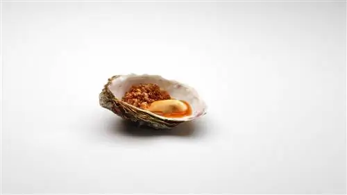 Урруп Эдан Мугариц