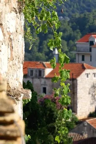 Ластово