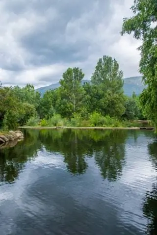 Колючие петли