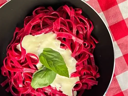 Спагетти Red Chile с кремом из белой спаржи в Vegan Pasta Bar District