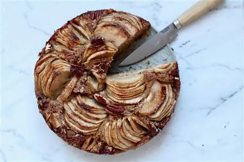 Рецепт яблочного пирога с медом и орехами