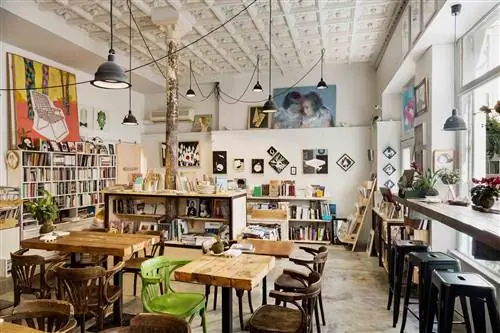 кот на велосипеде