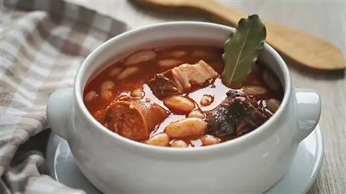 На велосипеде через дельту Эбро