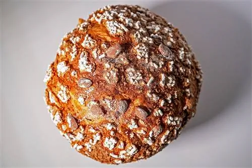 Фабио Альбанези выигрывает осеннюю медаль на Campionato Mondiale del Panettone 2021.