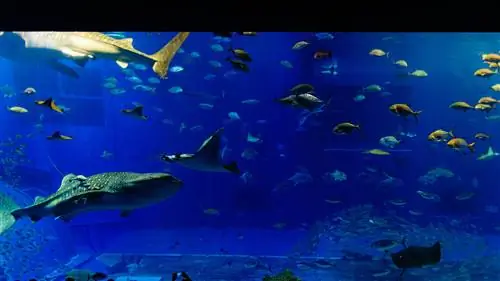 Десять волшебных мест Окинавы