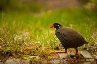 Отправьтесь в поход по красивому национальному парку Ямбару.