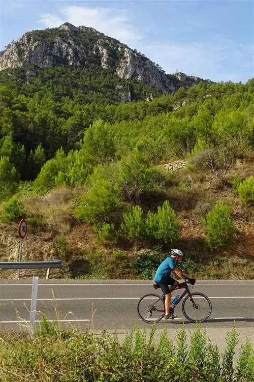 В сторону Арнес