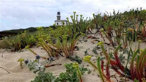 Ларинский маяк