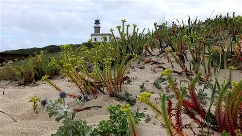 Faro Lariño: отель, который заставит вас мечтать о Галисии