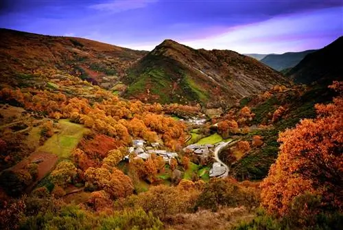 Любовь в Куреле Любовь в Куреле