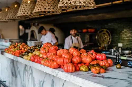 шесть чувств ибица