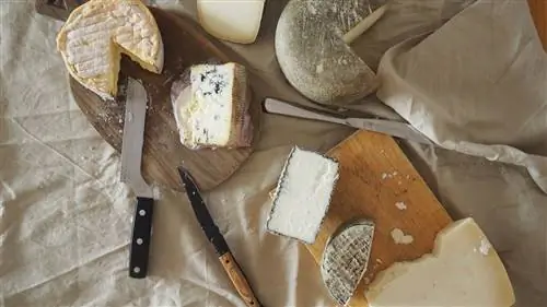 Сыры для счастья (в домашних условиях)