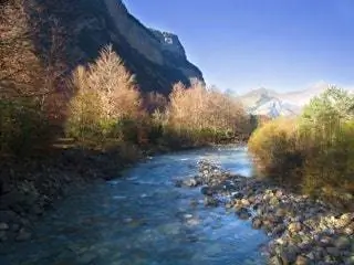 Если вам нужно время с семьей, подготовьте чемодан и…