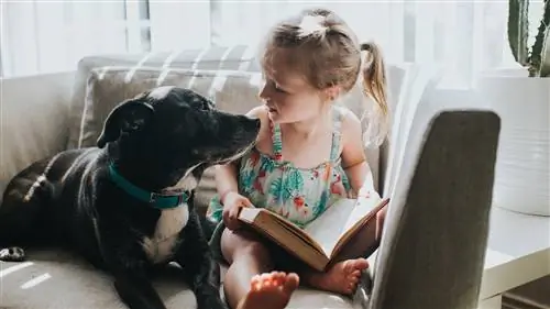 Книготорговцы говорят: истории для детей, путешествующих из дома