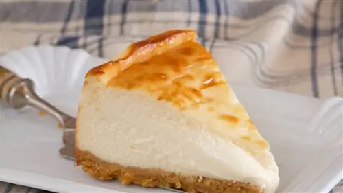 Книга с лучшими рецептами чизкейков в мире