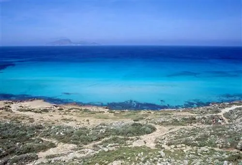 бухта росса