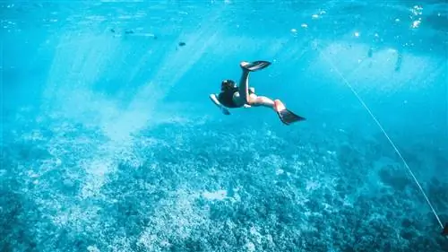 Лучшие места в Европе для снорклинга