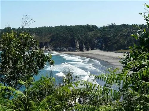 Пляжи Барайо