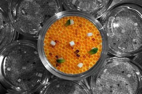 Тушеная панна-котта с желтками форели и мятой в Besana Tapas.