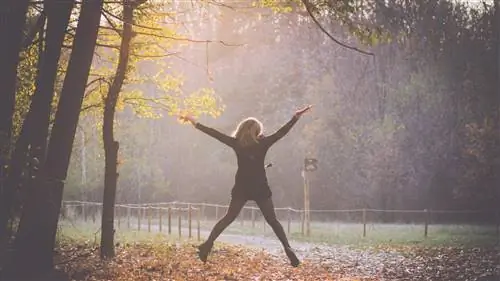 Планы на выходные (5, 6 и 7 ноября)