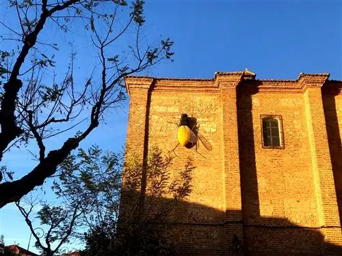 «Полет Эдуардо Арройо.