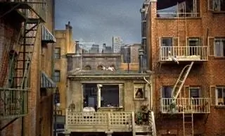 заднее окно