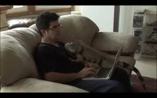 13. Это не фильм