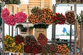 Красочные тюльпаны на цветочном рынке Колумбия-роуд в Восточном Лондоне.