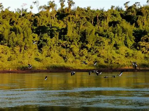 Закат в верховьях Парана