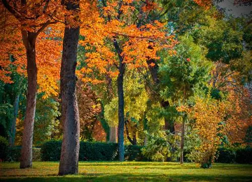 Выход на пенсию