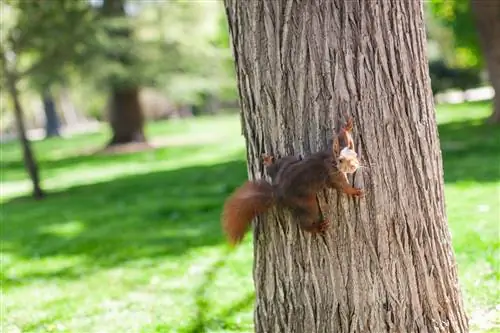 Выход на пенсию