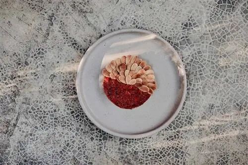 Блюдо из ресторана ARCA в Тулуме, Мексика.