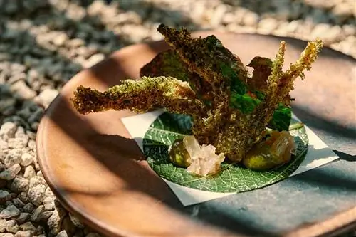 Сюрпризы в ARCA не прекращаются.