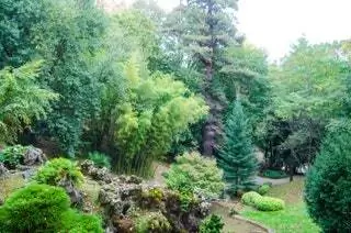 Как и в случае с садами Алдерди Эдер, огромный парк Айете также имеет почти 81 000 метров…