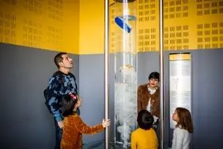 Прогулка от дверей отеля до Музея науки Эврика занимает всего около пяти минут, и это не случайно…