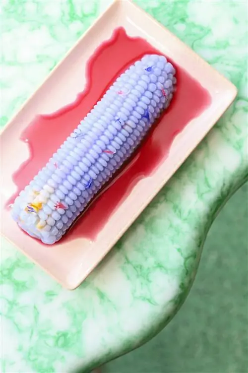 Желейный торт, который Nünchi создал для Chifa.nbsp