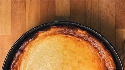 Чизкейк, который продается среди дизайнерской мебели: Луна & Ванда